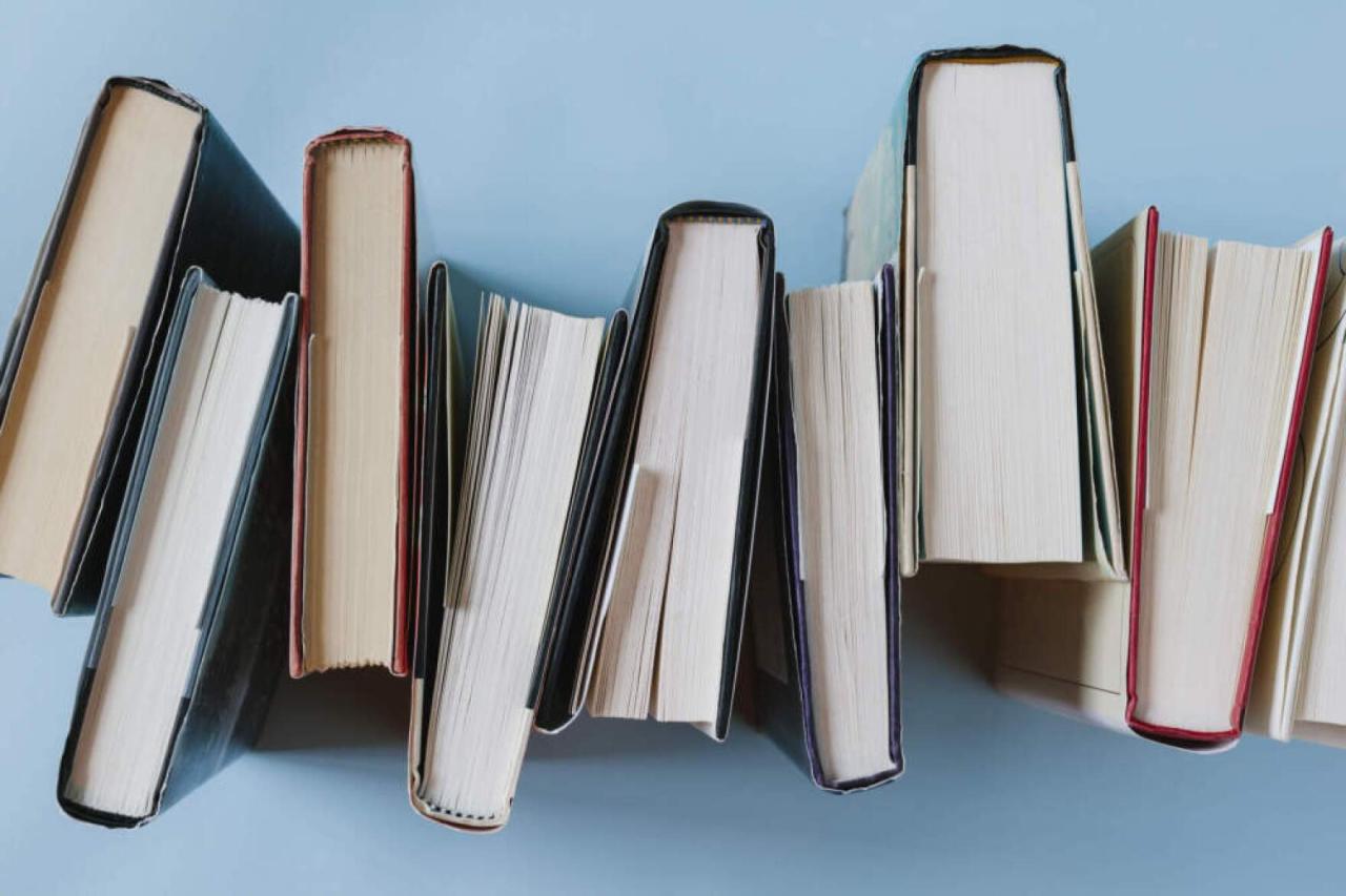 Practical Productivity Book Talk at Elaine's Book Writing Software Free