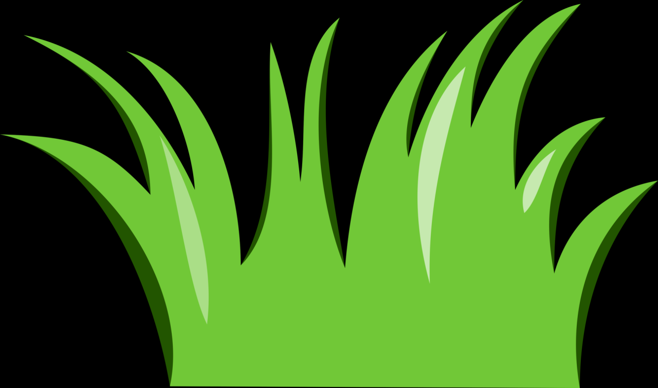 Grass Transparent Background Airport Home Appliance Hayward