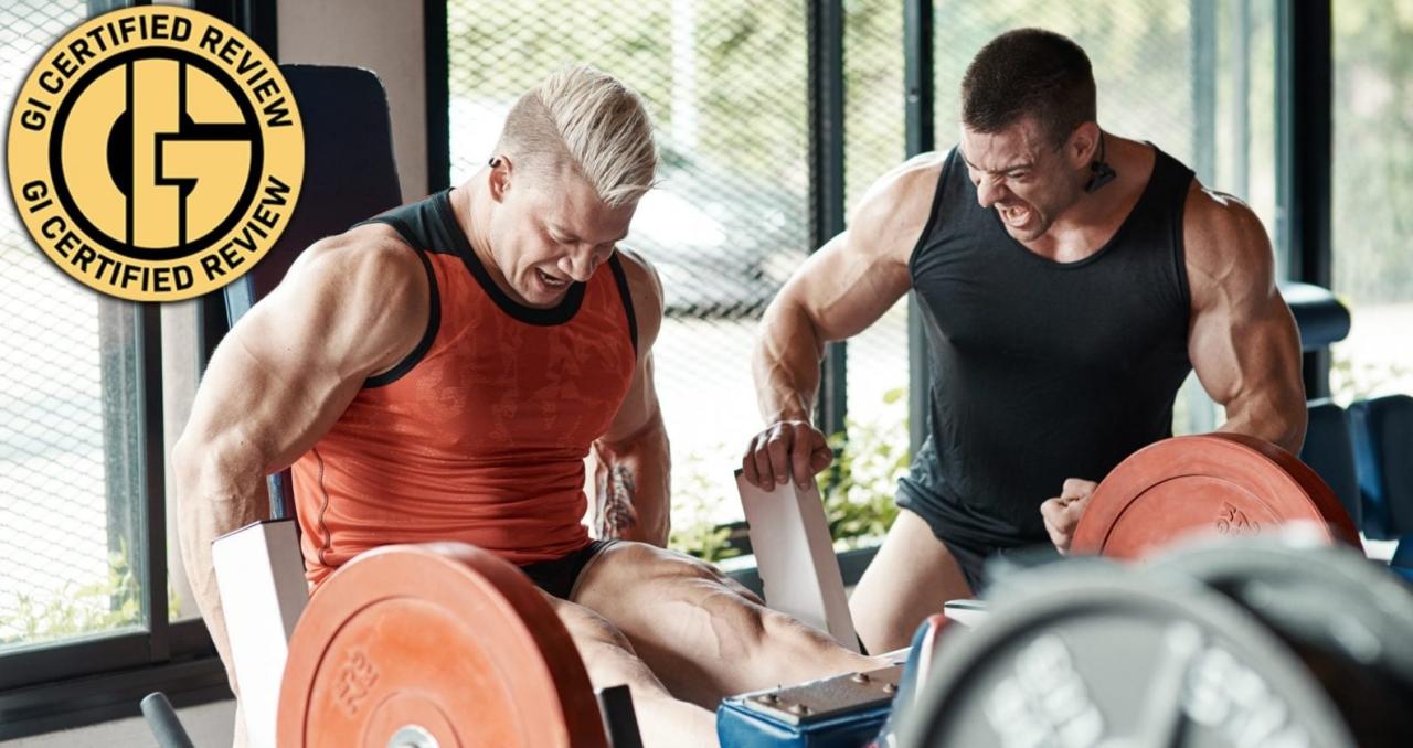 Top 8 Best Joint Supplements for Knees in 2025 - Straight.com Best Joint Health Supplements